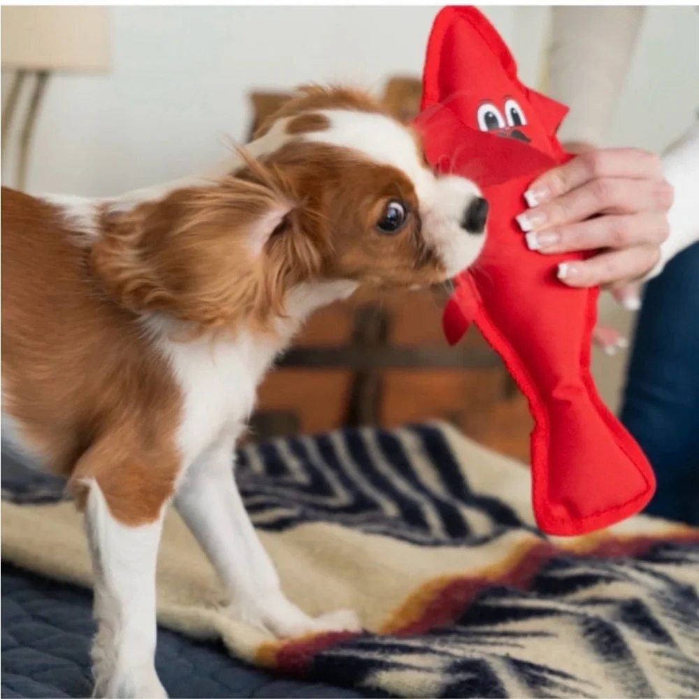 Houndstone Red Lobster- Durable Squeaky Pet Toy